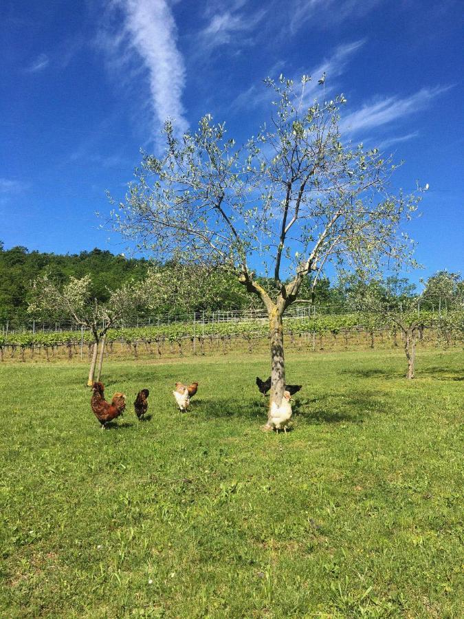 Agriturismo Ca' Cristane Rivoli Veronese Eksteriør billede