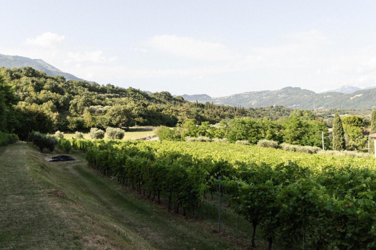 Agriturismo Ca' Cristane Rivoli Veronese Eksteriør billede