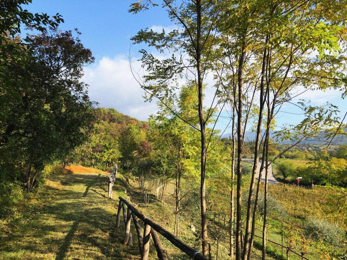 Agriturismo Ca' Cristane Rivoli Veronese Eksteriør billede