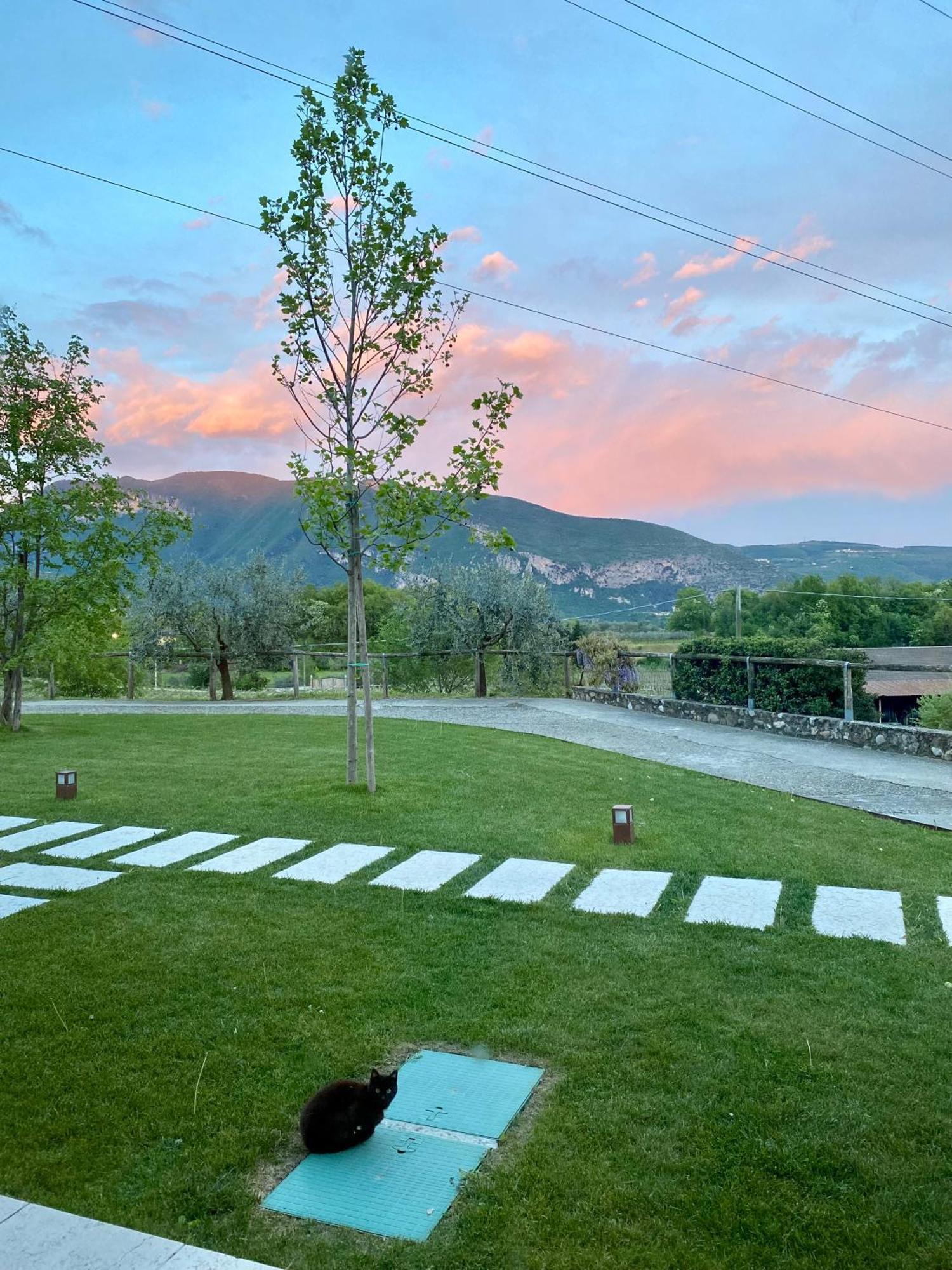 Agriturismo Ca' Cristane Rivoli Veronese Eksteriør billede